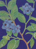 Blue Betry
