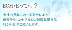 ECM・Eとは